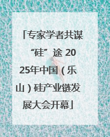 专家学者共谋“硅”途 2025年中国（乐山）硅产业链发展大会开幕