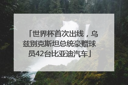 世界杯首次出线，乌兹别克斯坦总统豪赠球员42台比亚迪汽车