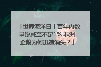 世界海洋日丨百年内数量锐减至不足1% 非洲企鹅为何迅速消失？