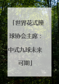 世界花式撞球协会主席：中式九球未来可期