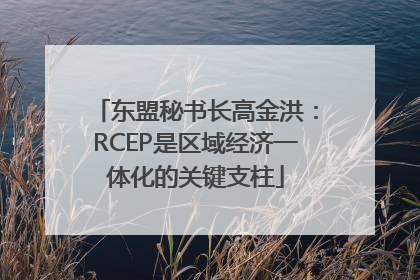 东盟秘书长高金洪：RCEP是区域经济一体化的关键支柱