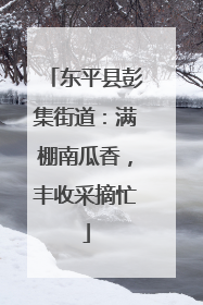 东平县彭集街道：满棚南瓜香，丰收采摘忙