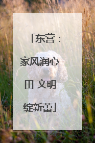 东营：家风润心田 文明绽新蕾