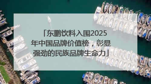 东鹏饮料入围2025年中国品牌价值榜，彰显强劲的民族品牌生命力