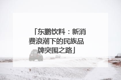东鹏饮料：新消费浪潮下的民族品牌突围之路