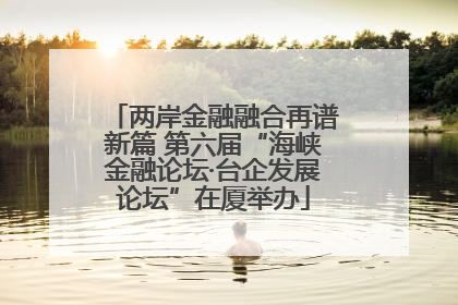 两岸金融融合再谱新篇 第六届“海峡金融论坛·台企发展论坛”在厦举办