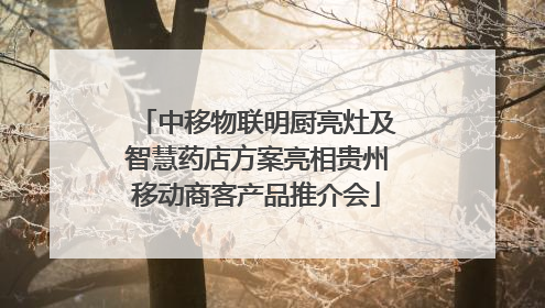 中移物联明厨亮灶及智慧药店方案亮相贵州移动商客产品推介会