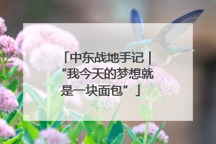 中东战地手记｜“我今天的梦想就是一块面包”