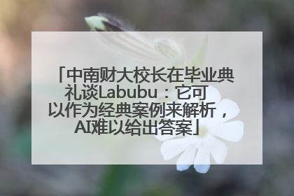 中南财大校长在毕业典礼谈Labubu：它可以作为经典案例来解析，AI难以给出答案