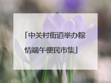 中关村街道举办粽情端午便民市集