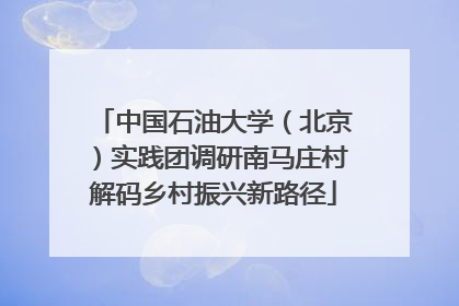 中国石油大学（北京）实践团调研南马庄村解码乡村振兴新路径