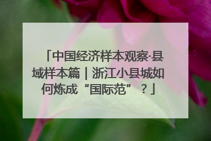 中国经济样本观察·县域样本篇｜浙江小县城如何炼成“国际范”？