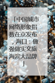 中国城市网络形象指数在京发布，海口：做强做实文旅海滨大品牌