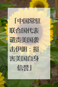 中国常驻联合国代表谴责美国袭击伊朗：损害美国自身信誉