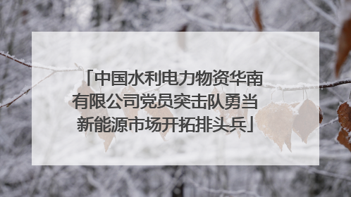 中国水利电力物资华南有限公司党员突击队勇当新能源市场开拓排头兵