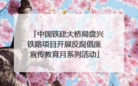中国铁建大桥局盘兴铁路项目开展反腐倡廉宣传教育月系列活动