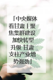 中央媒体看甘肃丨聚焦集群建设 加快转型升级 甘肃支柱产业增势强劲