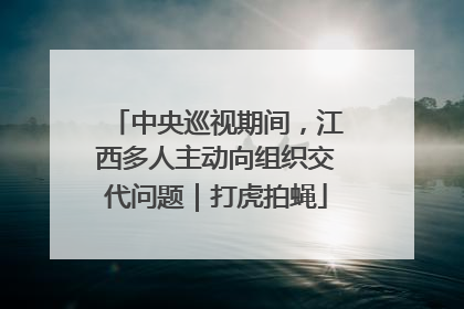 中央巡视期间，江西多人主动向组织交代问题｜打虎拍蝇