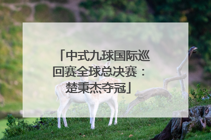 中式九球国际巡回赛全球总决赛：楚秉杰夺冠