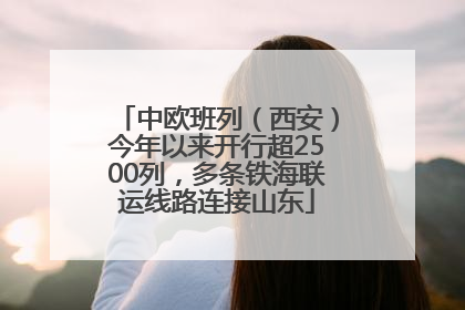 中欧班列（西安）今年以来开行超2500列，多条铁海联运线路连接山东