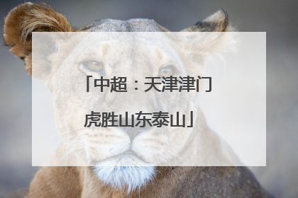 中超：天津津门虎胜山东泰山