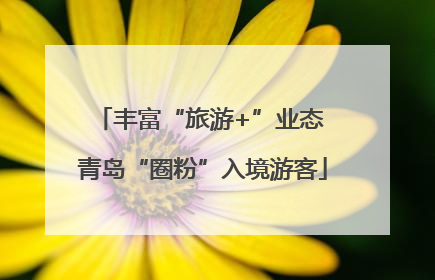 丰富“旅游+”业态 青岛“圈粉”入境游客