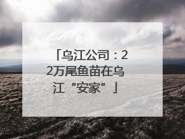 乌江公司：22万尾鱼苗在乌江“安家”