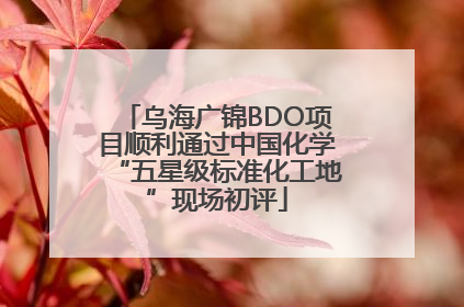 乌海广锦BDO项目顺利通过中国化学“五星级标准化工地”现场初评