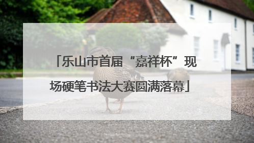 乐山市首届“嘉祥杯”现场硬笔书法大赛圆满落幕