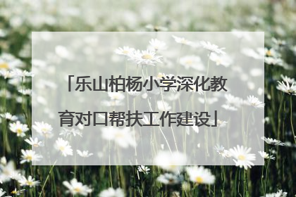 乐山柏杨小学深化教育对口帮扶工作建设