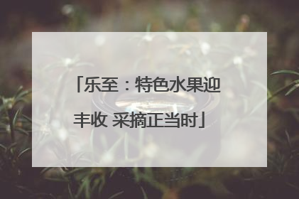 乐至：特色水果迎丰收 采摘正当时
