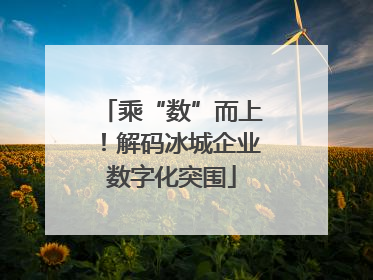 乘“数”而上！解码冰城企业数字化突围