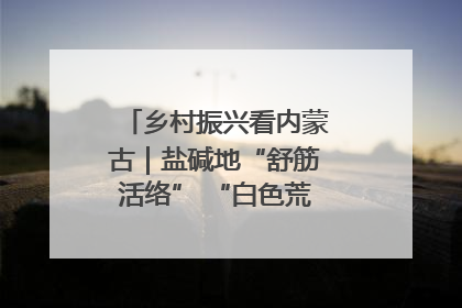 乡村振兴看内蒙古｜盐碱地“舒筋活络” “白色荒漠”长出吨粮田