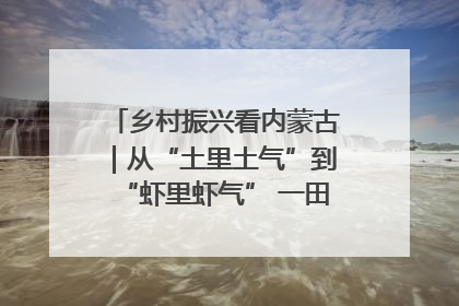 乡村振兴看内蒙古｜从“土里土气”到“虾里虾气” 一田双收模式火出圈