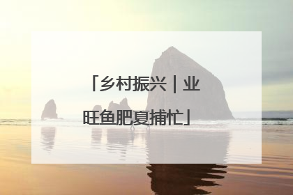 乡村振兴｜业旺鱼肥夏捕忙