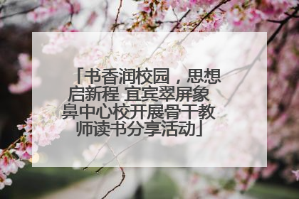 书香润校园，思想启新程 宜宾翠屏象鼻中心校开展骨干教师读书分享活动
