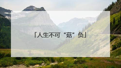 人生不可“菇”负
