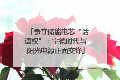 争夺储能电芯“话语权”：宁德时代与阳光电源正面交锋