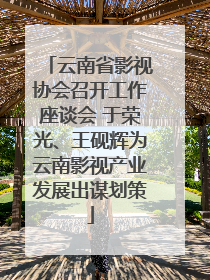 云南省影视协会召开工作座谈会 于荣光、王砚辉为云南影视产业发展出谋划策