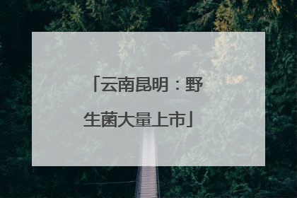 云南昆明：野生菌大量上市