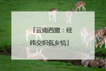 云南西盟：经纬交织佤乡情
