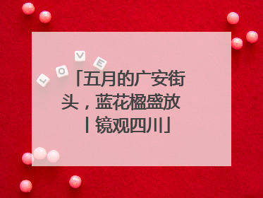 五月的广安街头，蓝花楹盛放丨镜观四川