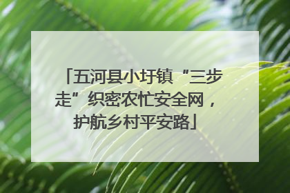 五河县小圩镇“三步走”织密农忙安全网，护航乡村平安路