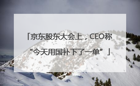 京东股东大会上，CEO称“今天用国补下了一单”