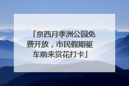 京西月季洲公园免费开放，市民假期驱车前来赏花打卡