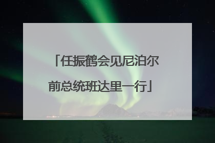 任振鹤会见尼泊尔前总统班达里一行