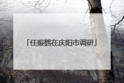 任振鹤在庆阳市调研