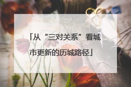 从“三对关系”看城市更新的历城路径