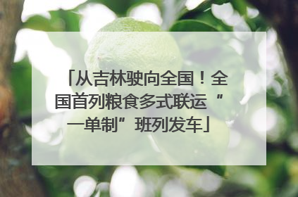 从吉林驶向全国！全国首列粮食多式联运“一单制”班列发车
