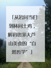 从岩间当归到林间土鸡，解码思茅大芦山美食的“自然哲学”